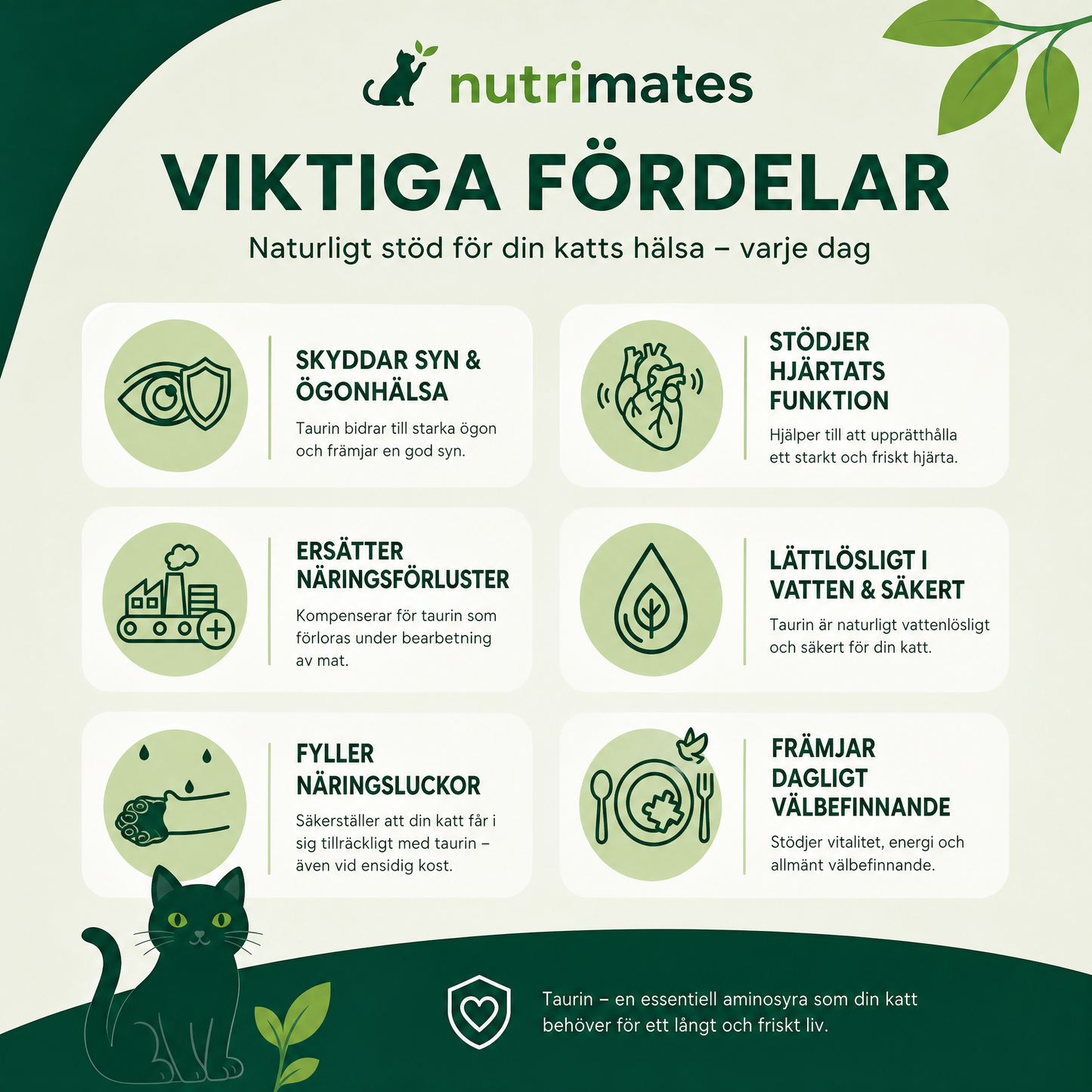 Nutrimates™ Taurin — Stoppa Bristen Innan Du Ser Den